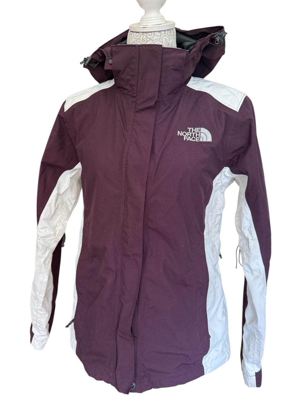 2010 North Face jacket